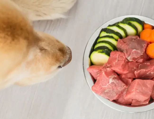 The Advantages Of A Raw Food Diet For Dogs: A Complete Guide