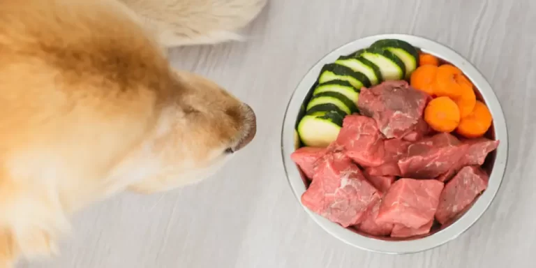Raw Food Diet For Dogs
