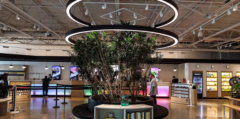 Best Dispensaries In Schaumburg